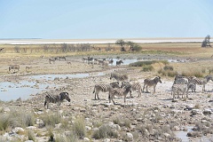 Namibia_2014-2610