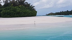 Maldive2018-166