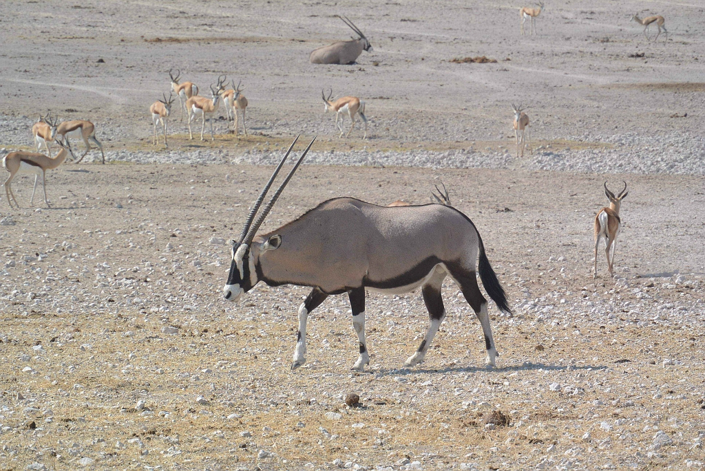 Namibia_2014-2400.jpg