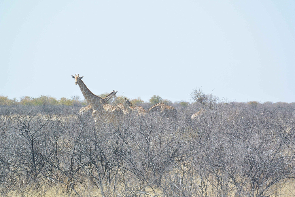 Namibia_2014-2490.jpg