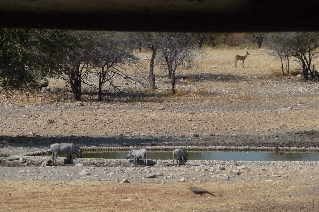Namibia_2014-2520.jpg