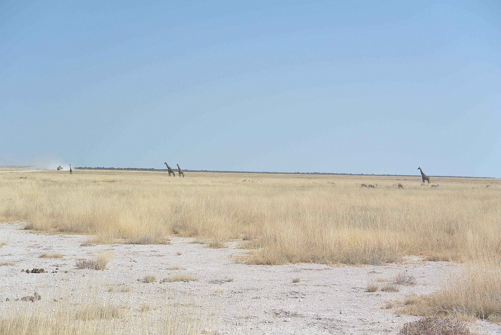 Namibia_2014-2640.jpg
