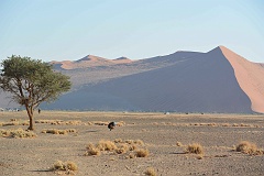 Namibia_2014-0440