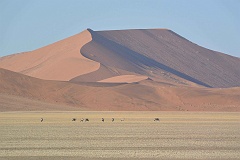 Namibia_2014-0450