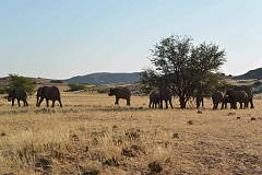 Namibia_2014-1630