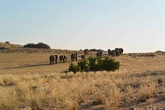 Namibia_2014-1640