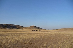 Namibia_2014-1670