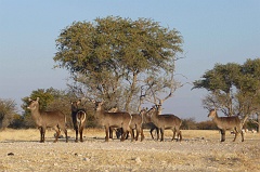 Namibia_2014-2150