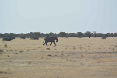 Namibia_2014-2300