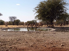 Namibia_2014-2510