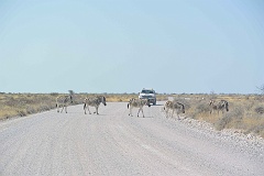 Namibia_2014-2580