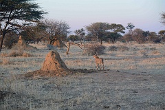 Namibia_2014-3270