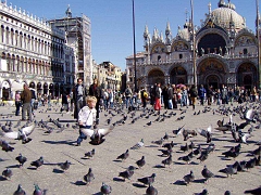 Venice2003