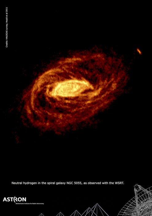 n5055poster2011.png n5055poster2011.png