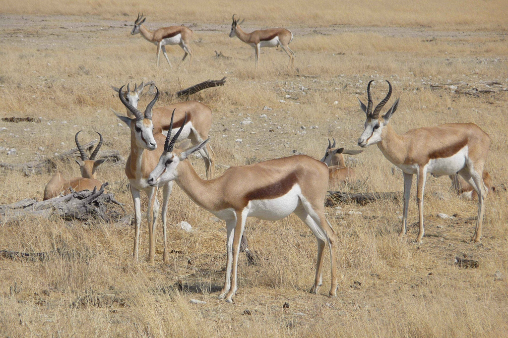 Namibia_2014-2370.jpg