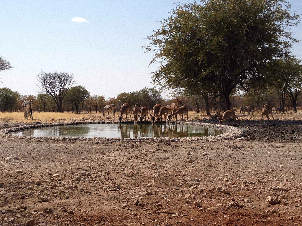 Namibia_2014-2510.jpg