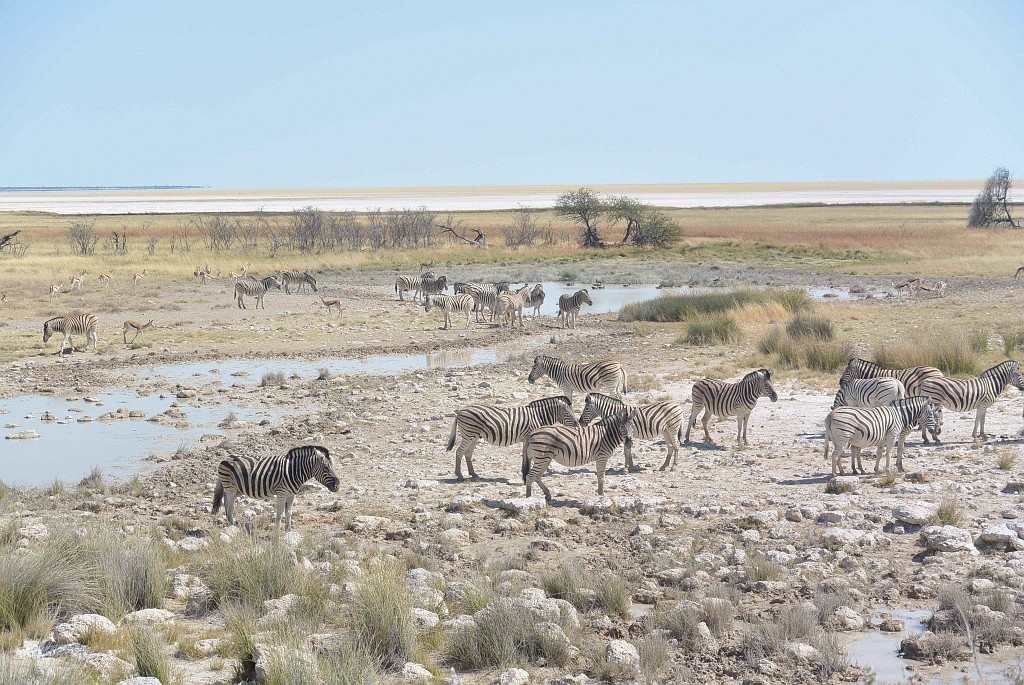 Namibia_2014-2610.jpg