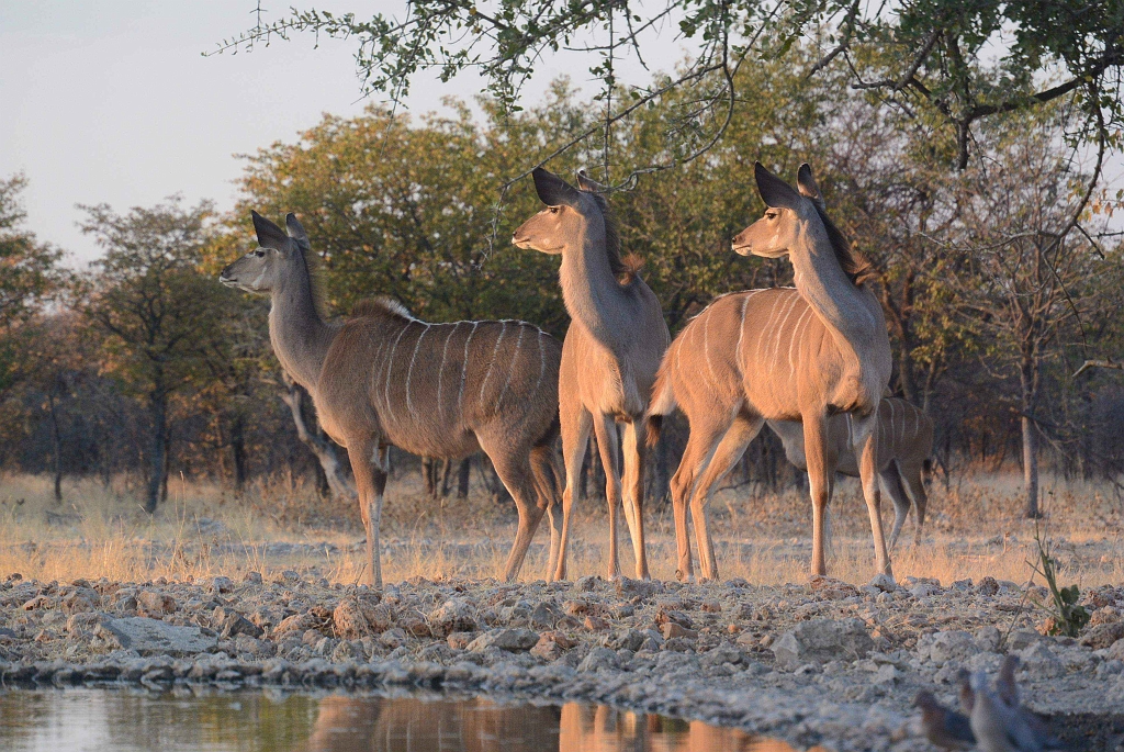 Namibia_2014-2750.jpg