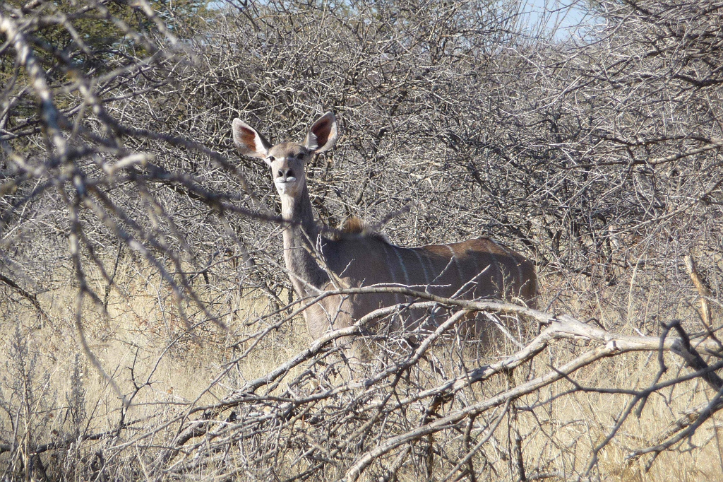 Namibia_2014-3080.jpg