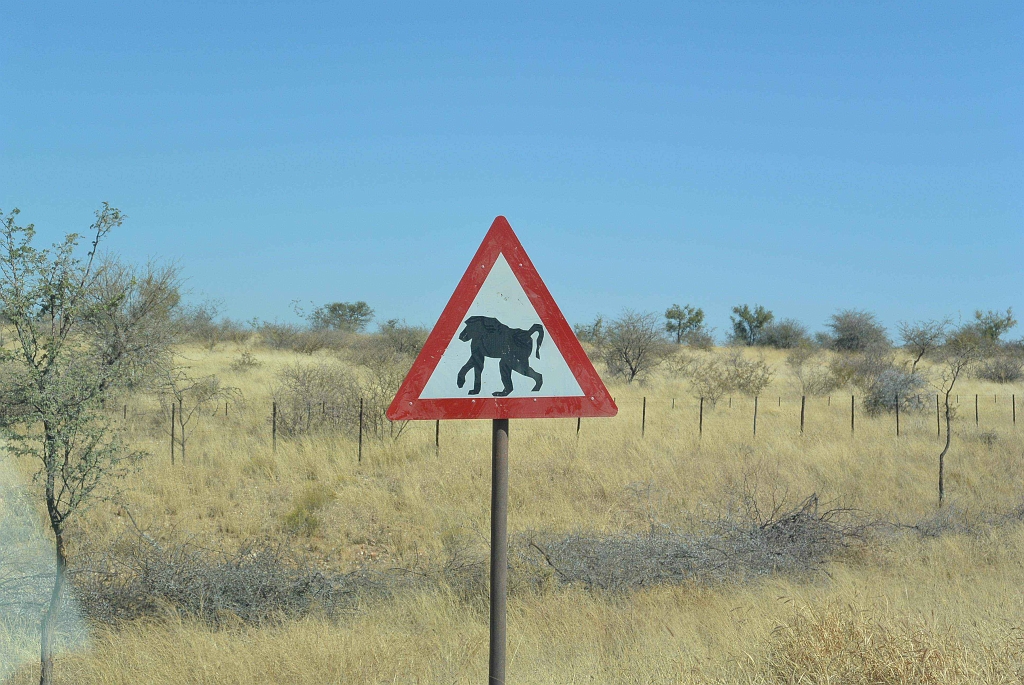 Namibia_2014-3580.jpg